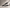 Cut Throat (Pack of 5)